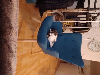 Photo de Jezabel