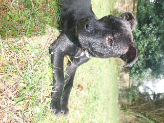 Photo de Migola