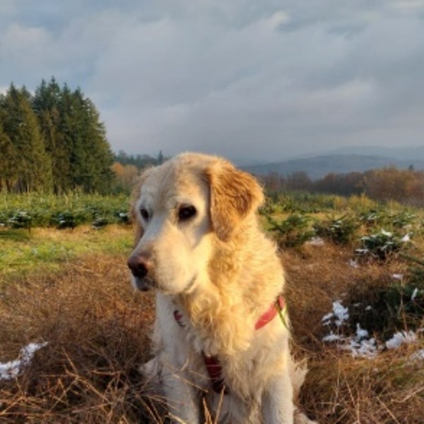 Photo de Indy