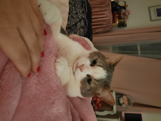Photo de Fifi