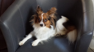 Photo de Netti