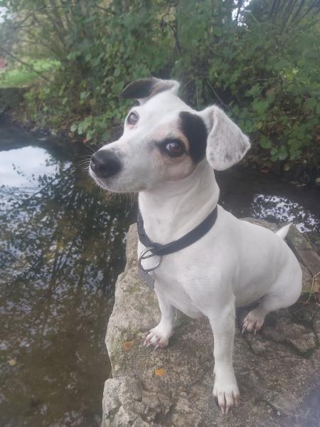 Photo de NALA