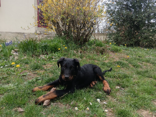 Photo de Uno