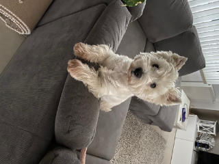 Photo de Haribo