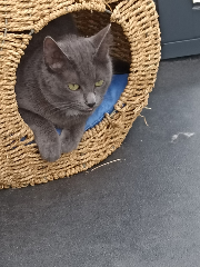 Photo de Minette