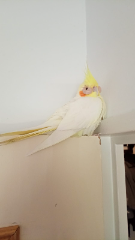 Photo de Clovis