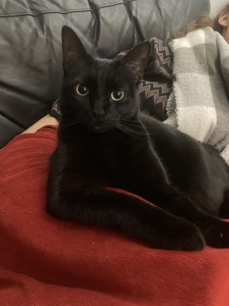 Photo de Néo