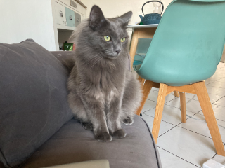 Photo de Sookie