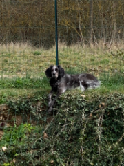 Photo de NARKO