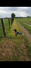 Photo de Tosca