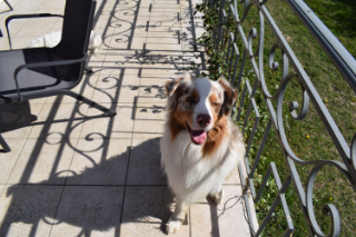 Photo de Naboo