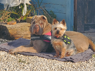 Photo de Lola