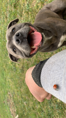 Pako