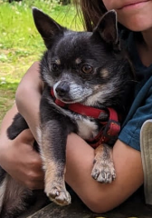 Milo