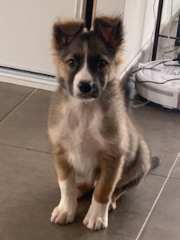 Photo de Tituse