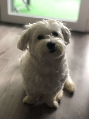 Cooky