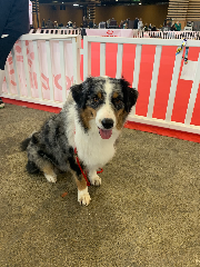 Sydney