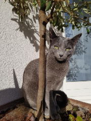 Photo de Tanya
