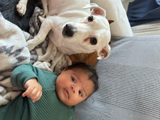 Photo de Luna