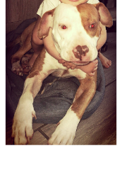 Photo de Athena