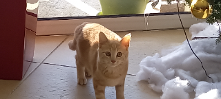 Photo de MAIA