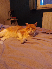 Photo de oliver
