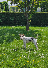 Photo de Samy