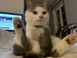 Photo de Pepsi