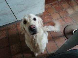 Photo de Cannelle