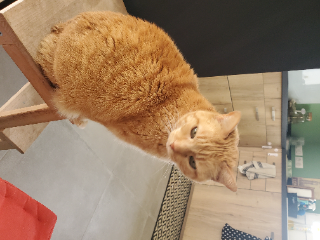 Photo de Fizzie