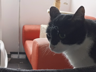 Photo de LEIA