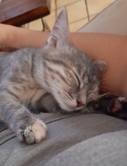 Photo de Tiny