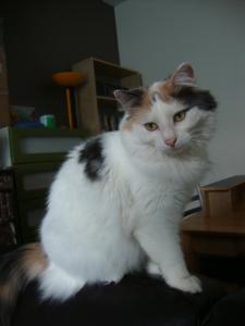 Minouchette