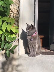 Photo de Penny