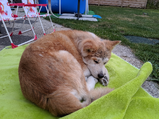 Photo de Ikko