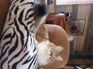 Photo de nana