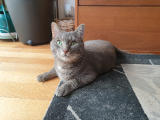 Photo de Rio