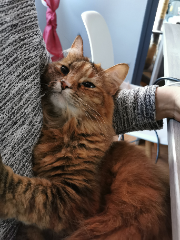 Photo de Penny