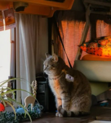 Photo de Hermione
