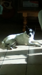 Photo de OREO