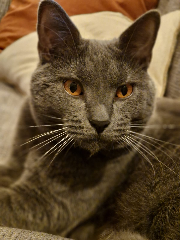 Photo de Sookie
