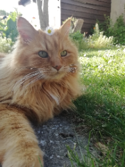 Photo de Zoé