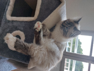 Photo de Tara