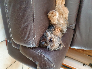 Photo de Skye