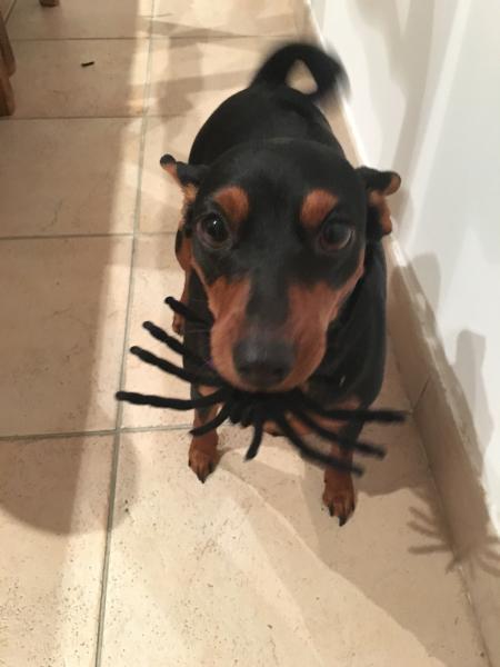 Photo de Nana