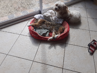Photo de Nanouche