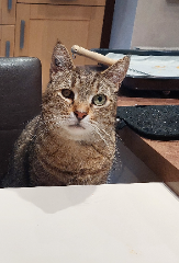 Photo de Mimi