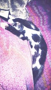 Luna