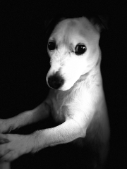 Samy
