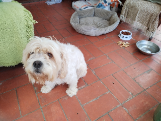 Marley